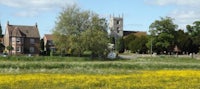 a field with yellow flowers and a church in the background