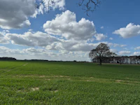 The fields of Stewart Lane, Stillingfleet